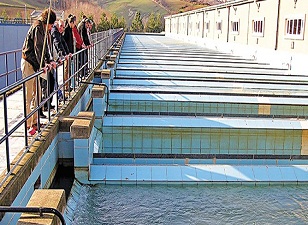 Şebeke suları temiz