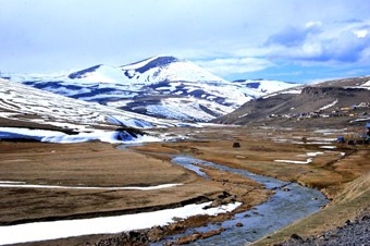 Ardahan'da bahar kendini göstermeye başladı
