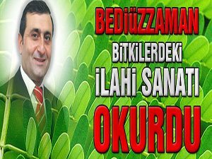 Bediüzzaman bitkilerdeki İlahi Sanatı okurdu