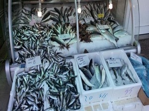 Ve balık sezonu bitti