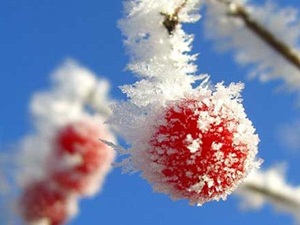 150 Milyon TL Dondu!