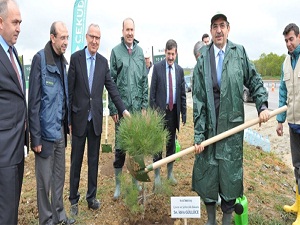 Güllüce 10 bin fidanı toprakla buluşturdu