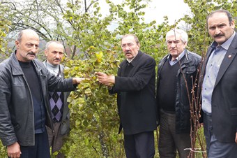 Fındığı soğuk vurdu, fiyatı rekora koştu