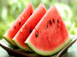 Karpuz hasadı başlıyor