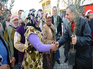 İzmir'in kırsalı meyve bahçeleriyle dolacak