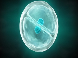 Türkiye'de kök hücre nakli 10 katına çıktı