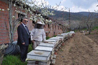 Manisa'da arıcılığın geliştirilmesi için eğitimler devam ediyor