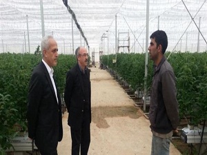 Yozgat seracılıkta organize olacak