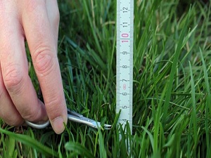 Sigara kadar zararlı!