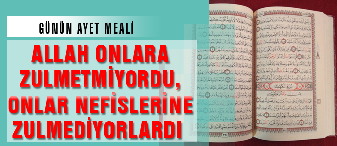 Allah onlara zulmetmiyordu, onlar nefislerine zulmediyorlardı