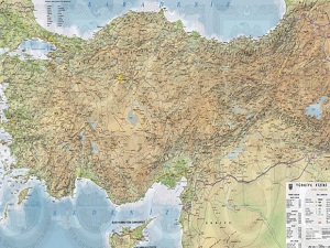 Ormanlık alanlar işletmelere açılıyor