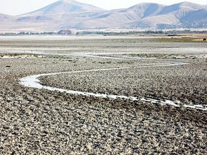 Seyfe Gölü kurumak üzere