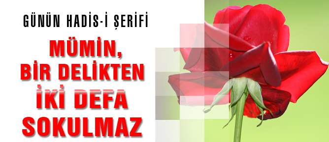 Mümin, bir delikten iki defa sokulmaz