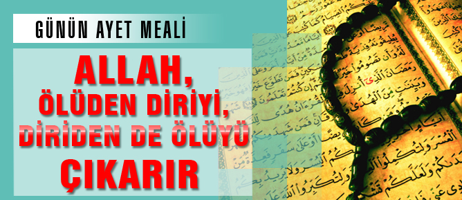 Allah, ölüden diriyi, diriden de ölüyü çıkarır