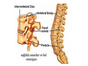 Bel ağrısını hafife almayın