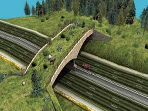 Karayollarına 'ekolojik köprü'