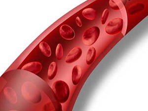 Damarlardaki risk haritası 5 dakikalık testle ortaya çıkıyor