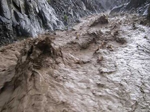 Sırbistan'da seller nedeniyle olağanüstü hal ilanı