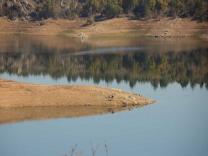 Kuraklık nedeniyle elektrik üretimi azalacak