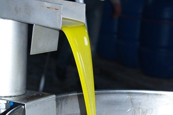 Mut zeytinyağının kalitesi tescillendi