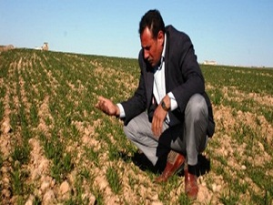 Çiftçinin kuraklık korkusu büyüyor