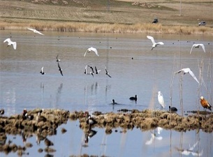Hafik Gölü'ne 'taşıma suyu'yla kuraklık önlemi
