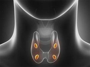 Tiroid, ses telleri ve gırtlak yapısını etkiliyor!