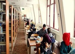 15 kilometrelik kütüphane