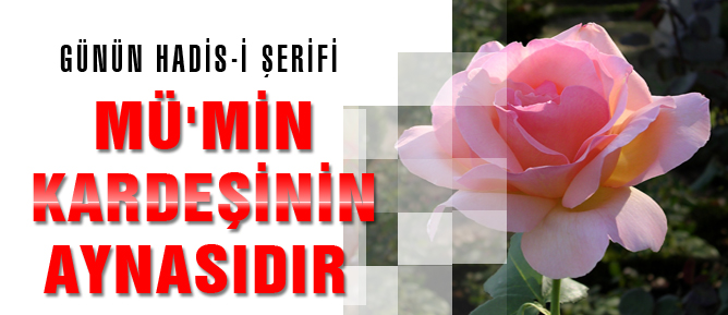 Mü'min kardeşinin aynasıdır