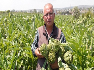 Doktor ve profesörlerin bir numaralı tercihi
