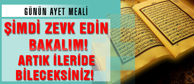 Şimdi zevk edin bakalım! Artık ileride bileceksiniz!