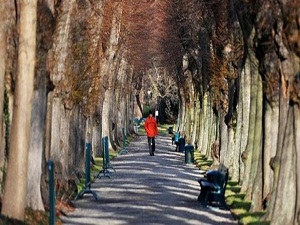 Yürümek konsantrasyonu artırıyor