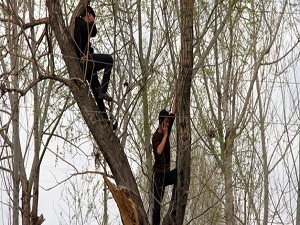 Cep telefonu ile ancak orada konuşabiliyorlar