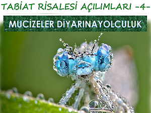 Tabiat Risalesi ile Mucizeler Diyarına Yolculuk