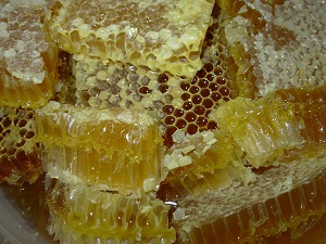 Narenciye balında rekolte sevindirdi