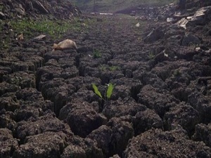 İstanbul barajlarında 10 yılın en kurak mevsimi
