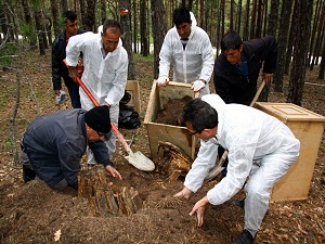 ‘Terminatörler’ işbaşında