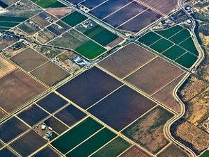 Şehirde yaşayan mirasçılar dikkat!