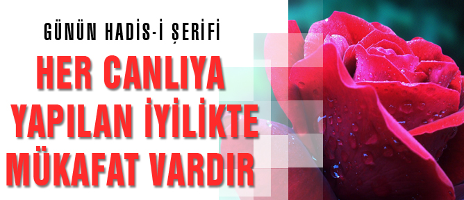 Her canlıya yapılan iyilikte mükafat vardır