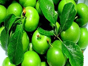 Yeşil erik bağışıklığı güçlendiriyor