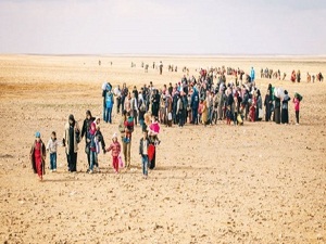 İnsanlık çölde kayıp