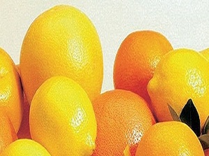 Adana narenciye üretiminden vazgeçiyor