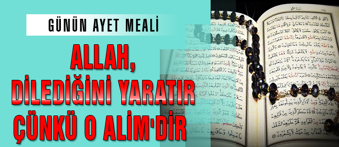 Allah, dilediğini yaratır çünkü o Alim'dir