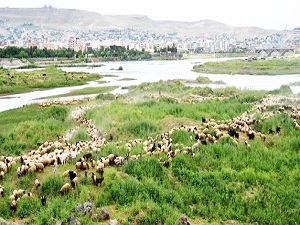 Şırnak'ta 20 yıl sonra ilk kez yaşanıyor
