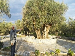 1650 yıldır ayakta duruyor