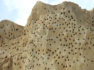 Kum yığınına yuva yaptılar işler durdu