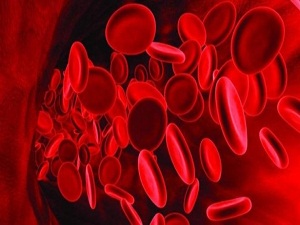 Kan grubunu söyle felç riskini söyleyeyim