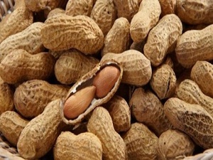 Yaşlanmaya karşı yer fıstığı