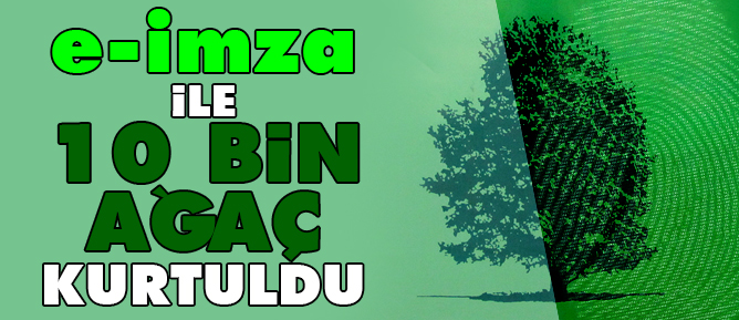 E-imza ile 10 bin ağaç kurtuldu