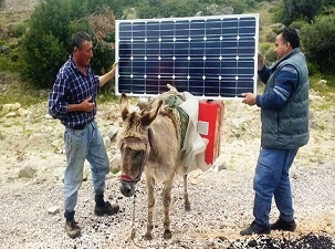 Eşek sırtında güneş enerjisi!